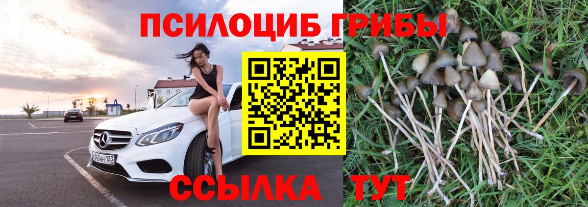 Псилоцибиновые грибы Psilocybe  Галлюциногенные грибы MAGIC MUSHROOMS  Вход с VPN  Топки 