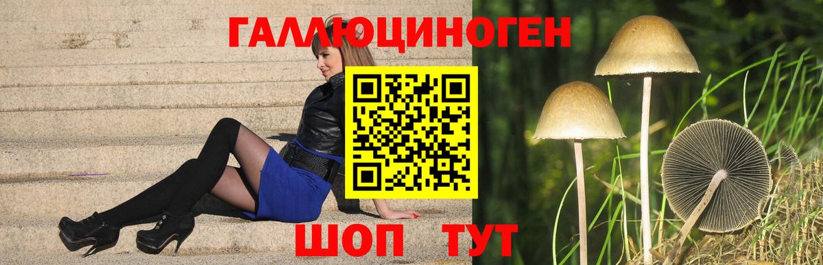 Псилоцибиновые грибы Psilocybine cubensis Топки